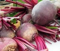 Betteraves crues, octeville