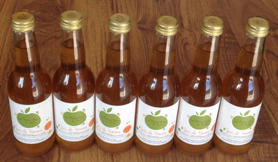 6 jus de pomme 33 cl