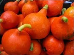 potimarron