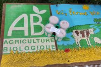 * 4 x yaourts bio aux cerises et au lait entier