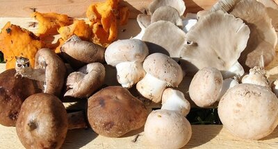 Poêlée gourmande pour 4 personnes