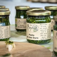 Pesto ail des ours