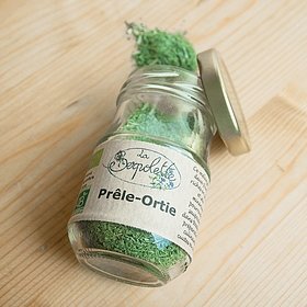 Prêle/ortie