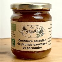 Confiture acidulée de prunes sauvag