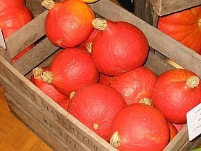 Potimarron