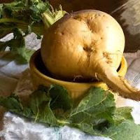 Rutabaga