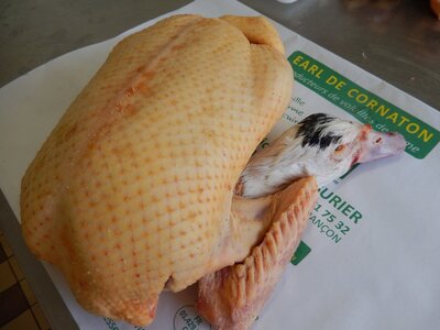 canette de ferme prête-à-cuire 2.4 kg