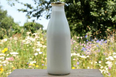 Lait cru