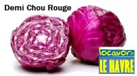 Chou rouge 1/2, octeville