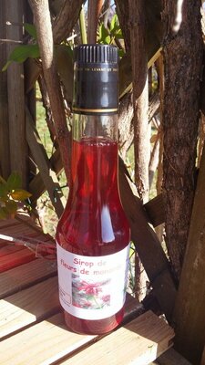 Sirop de fleur de monarde