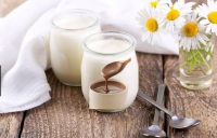 Chèvre - yaourt coulis de chocolat