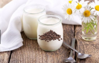 Chèvre-yaourt pépites de chocolat