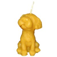 Bougie chien