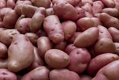 Pomme de terre désirée