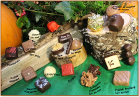 Chocolats de plantes, fruits et noix