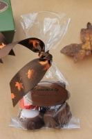 Chocolats de plantes, fruits et noix