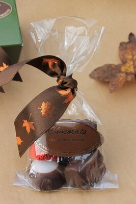 Chocolats de plantes, fruits et noix