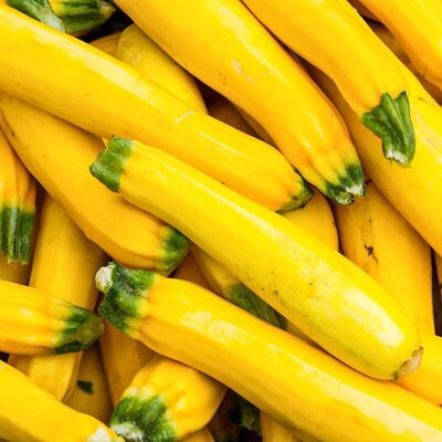 Courgettes jaunes