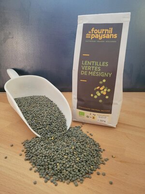 Lentilles vertes