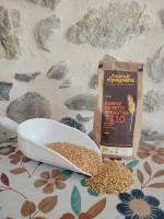 Petit epeautre en grains
