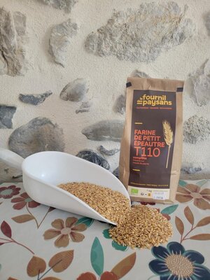 Petit epeautre en grains