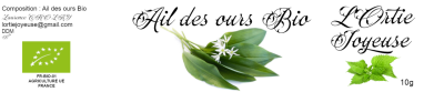 Ail des ours feuille entière