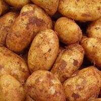 Pomme de terre nouvelle bio marabel