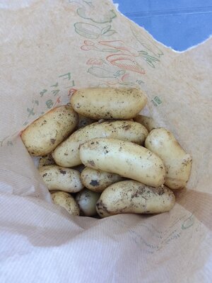 Pomme de terre en  mélange