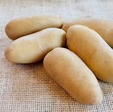 Pomme de terre marabel
