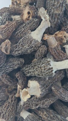 Pot de morilles séchées – 50 g