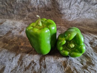 Poivron