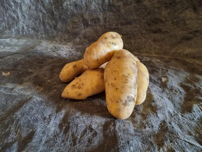 Pomme de terre amandine