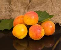 Abricots