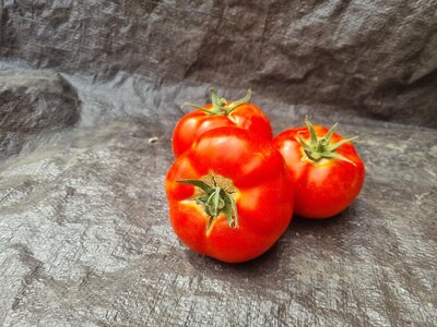 Tomate ronde