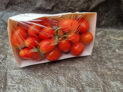 Tomate cerise