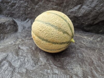 Melon