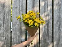 Fleurs botte - tanaisie