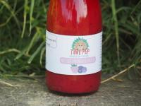 Nectars framboise/cassis x10