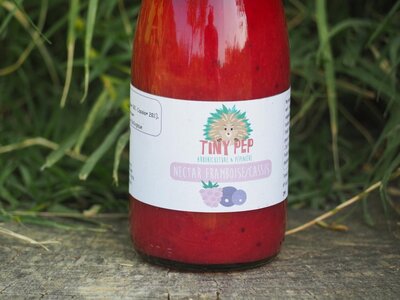 Nectars framboise/cassis x10
