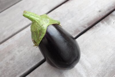 Aubergine bio de saison