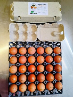 Oeufs bio boîte de 12
