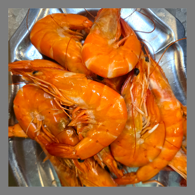 Crevettes roses cuites grande taille