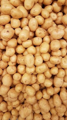 Pomme de terre grenaille