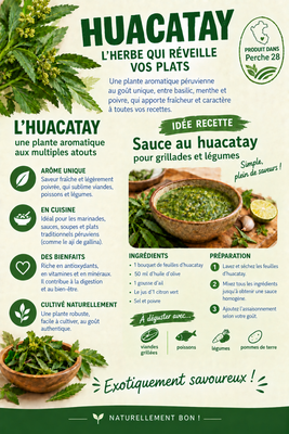 Huacatay