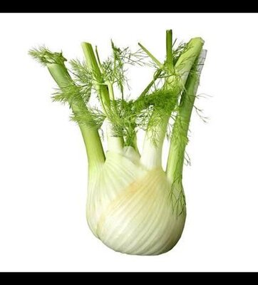 Fenouil