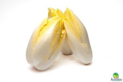 Endives
