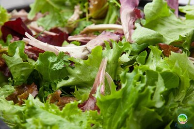 Mesclun