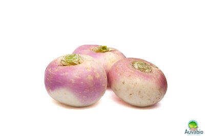 Navet violet
