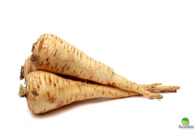 Panais