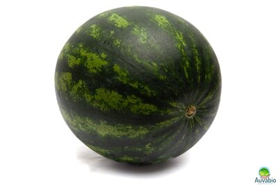 Pastèque